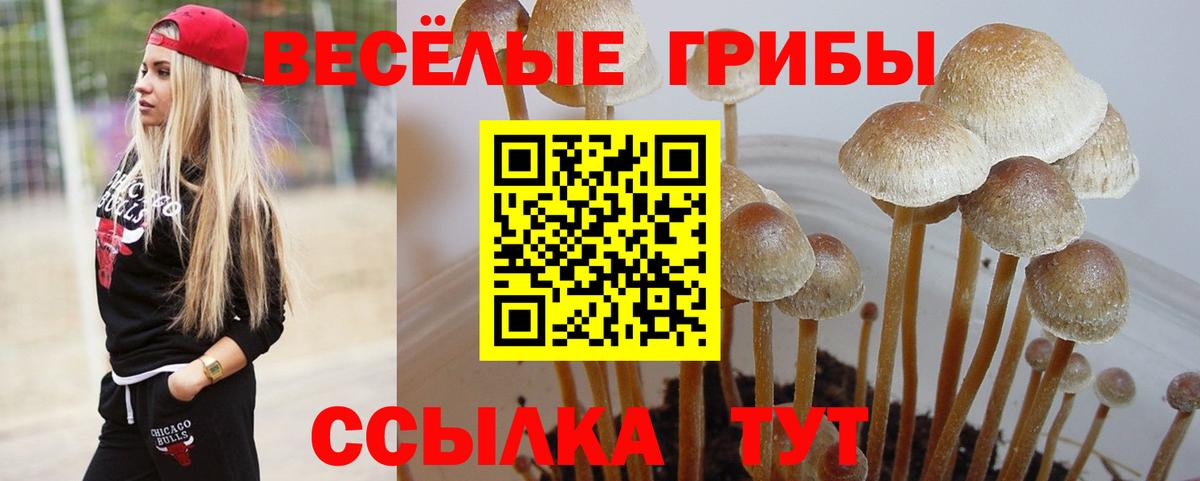 Краснокаменск  Галлюциногенные грибы прущие грибы  Вход с VPN  где продают   Псилоцибиновые грибы прущие грибы 